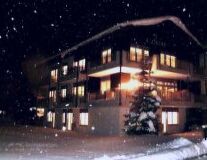 snow, christmas tree, outdoor, tree, house